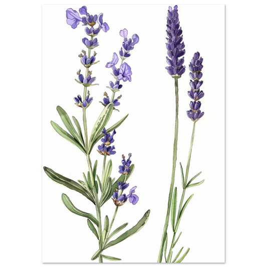 c97ef6f2-4fb4-401d-9679-b64325bc6bab